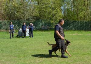 Valsts robežsardzes koledžā norisinās FRONTEX aģentūras kinoloģijas instruktoru apmācību kurss